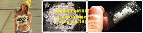 прущие грибы Верхний Тагил
