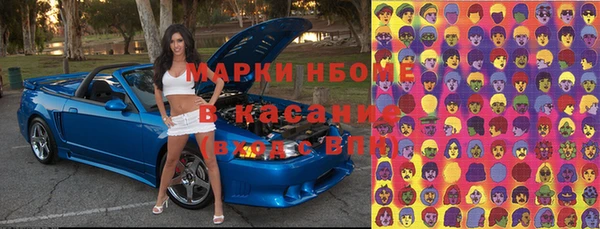 прущие грибы Верхний Тагил