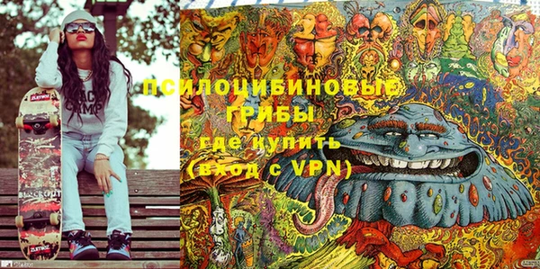 прущие грибы Верхний Тагил