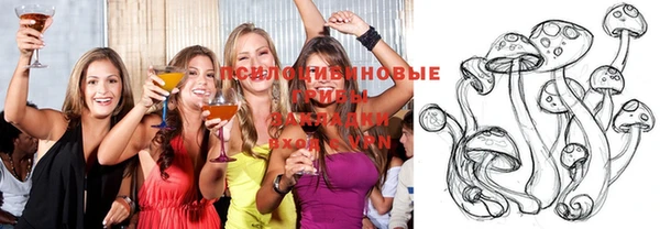 прущие грибы Верхний Тагил