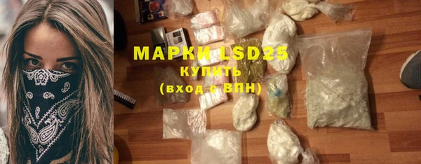 прущие грибы Верхний Тагил