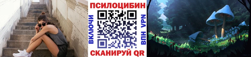 Галлюциногенные грибы Psilocybine cubensis  купить наркоту  Камешково 